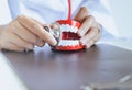 Dentist diagnose plastic teeth models with stethoscope,Concept of dental checking Royalty Free Stock Photo