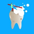 Dentist doctor cleans and whiten teeth