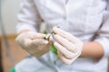 Dentist doctor hand holding medical tools in dental office. Concept of healthy Royalty Free Stock Photo