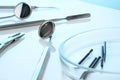 Dentist equipment: dental burs in Petri dish, two dental mirrors, cement spatula, explorer, kornzange or forceps. Dental Royalty Free Stock Photo