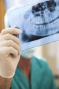 Dentist Examining X-Ray Royalty Free Stock Photo