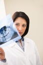 Dentist Examining X-Ray Royalty Free Stock Photo