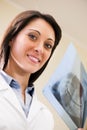 Dentist Examining X-Ray Royalty Free Stock Photo