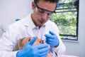 Dentist giving anesthetic to woman at medical clinic