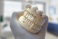 Dentist hand show model teeth