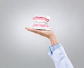 Dentist hold with denture