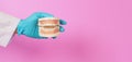 Dentist is hold Orthodontic model of teeth on pink background.Hand wear blue latex glove