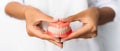 The dentist is holding dentures in his hands. Dental prosthesis in the hands of the doctor close-up.