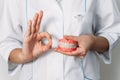 The dentist is holding dentures in his hands. Dental prosthesis in the hands of the doctor close-up.