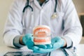 Dentist holding dentures in office room