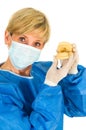 Dentist holding a mold of denture