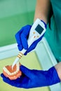 Dentist holding teeth model denture, showing with diagnostic periodontal probe and explaing to the patient what pulpitis looks lik Royalty Free Stock Photo