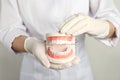 Dentist holding typodont teeth on light background, closeup