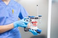 The dentist holds a dental articulator in his hands for the correct bite.