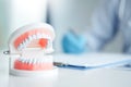 Dentist learning how to brush teeth Royalty Free Stock Photo