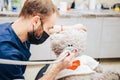 Dentist a man with a teddy bear in the form of a patient in a chair. Royalty Free Stock Photo