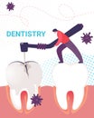 Dentist Man Working on Stomatology Tooth Disease
