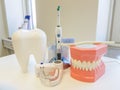 Dentist office. orthodontic model and dentist tool