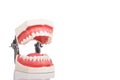 Dentist orthodontic teeth model with focus on lower teeth