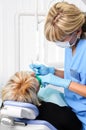 Dentist with patient, cleaning and curing