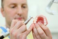 Dentist polishes artificial jaw in dental clinic
