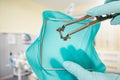 Dentist's hands in gloves with a rubber dam clamp forceps and cofferdam.