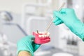 Dentist's hands in gloves with a saliva ejector and a human jaw layout Royalty Free Stock Photo