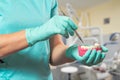 Dentist`s hands with layout of the human jaw and probe Royalty Free Stock Photo