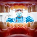 A dentist\'s view: A professional dental checkup, seen from inside the mouth Royalty Free Stock Photo