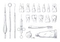 Dentist sketch. Hand drawn stomatology equipment vintage engraving with different teeth types. Toothpaste and toothbrush