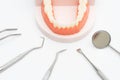 Dentist tool care set and tooth model on white Royalty Free Stock Photo