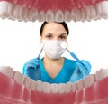 Dentist with tools. Concept of dentistry, whitening, oral hygiene, teeth cleaning with toothbrush, floss. Dentistry, taking care