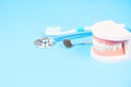 Dentist tools with dentures dentistry instruments and dental hygiene and equipment checkup with teeth model and mouth mirror oral Royalty Free Stock Photo