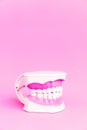 Dentistry concept. Dental care tools. Dentists use plastic toy white model of human teeth without one tooth isolated on Royalty Free Stock Photo