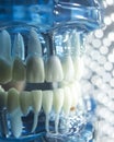 Dentists dental teeth implant