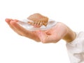 Denture dentist in the hand