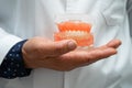 Denture, dentist holding dental teeth model to study and treat in hospital