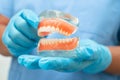 Denture, dentist holding dental teeth model to study and treat in hospital