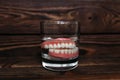 A denture in a glass of water. Dental prosthesis care. Full removable plastic denture of the jaws. Two acrylic dentures.