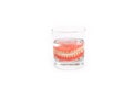A denture in a glass of water. Dental prosthesis care. Full removable plastic denture of the jaws. Two acrylic dentures. Upper and Royalty Free Stock Photo