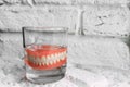 A denture in a glass of water. Dental prosthesis care. Full removable plastic denture of the jaws. Two acrylic dentures. Royalty Free Stock Photo