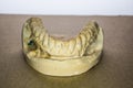 Denture impression made of plaster with implants Royalty Free Stock Photo