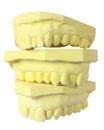 Denture Molds