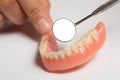 Denture prosthesis in dentist hand, Close up shoot