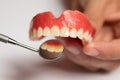 Denture prosthesis in doctor dentist hands, angled mirror