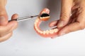 Doctor holding Denture prosthesis with hands, checking with mirror