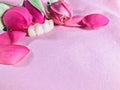 Denture with roses on pink background. Aestheticism photo.