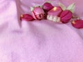 Denture with roses on pink background. Aestheticism photo.