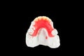 Denture wax model Royalty Free Stock Photo