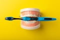 Dentures with a blue toothbrush on a yellow background.